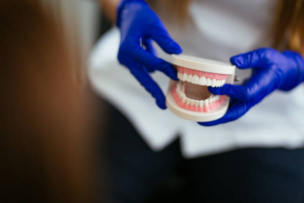 Why Choose Us for Your Dental Needs in Millville, UT